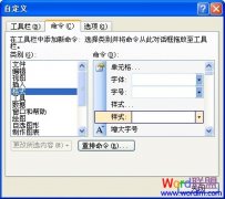 Excel2003基础教程：样式列表，快